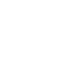 Search